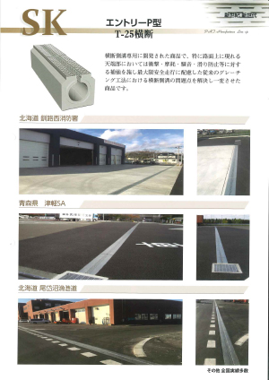 エントリーＰ型